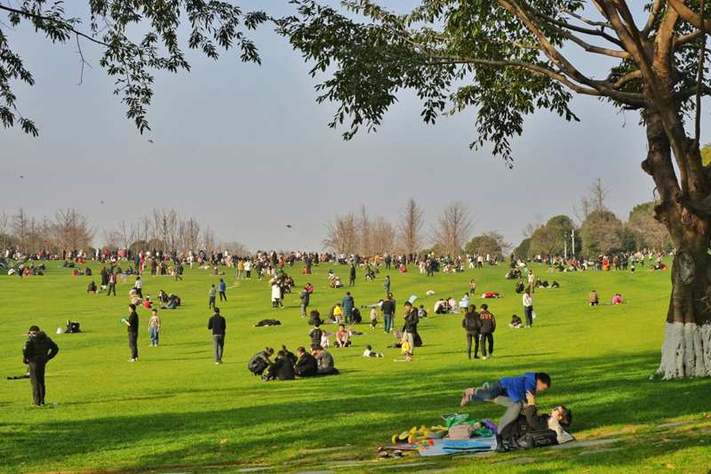 重慶中央公園，市民在草坪上曬太陽、放風(fēng)箏。重慶日報.jpg