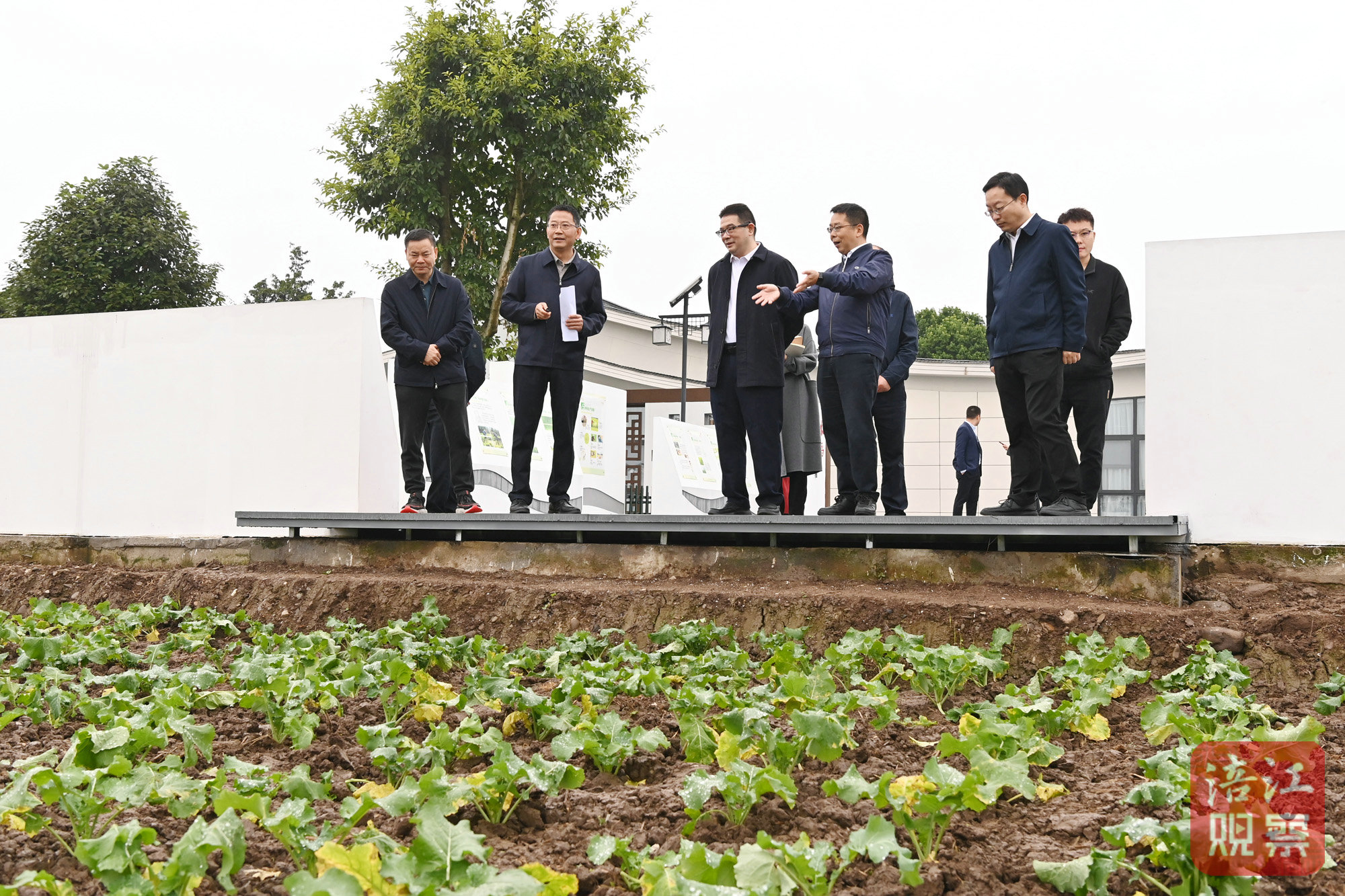 2024年11月10日，李云赴安州調研學習運用“千萬工程”經(jīng)驗4  張莉 攝.jpg