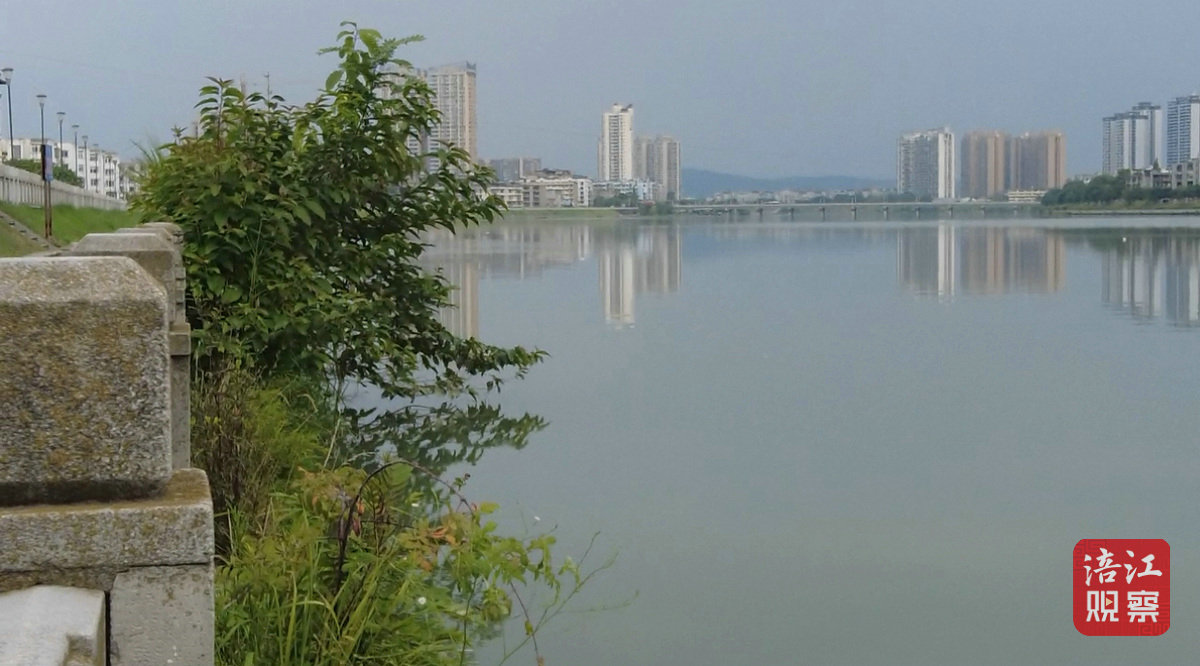 涪寶幫你忙 植物“瘋長(zhǎng)”4_1.jpg